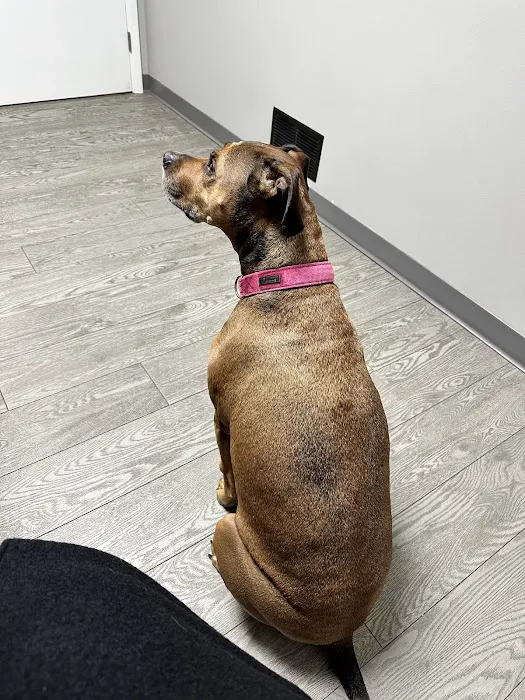 Chicago Drive Veterinary Clinic 12