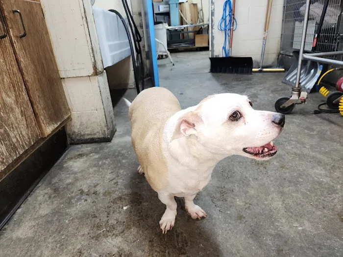 Jenison Animal Hospital 5