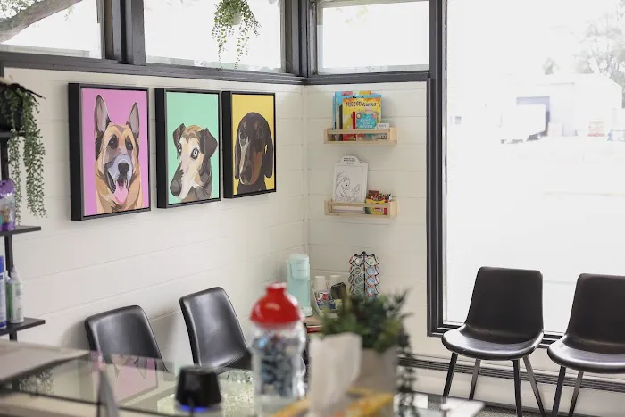 Jenison Animal Hospital 2