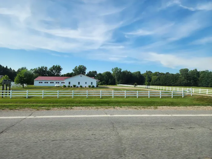 Town & Country Veterinary Hospital 4