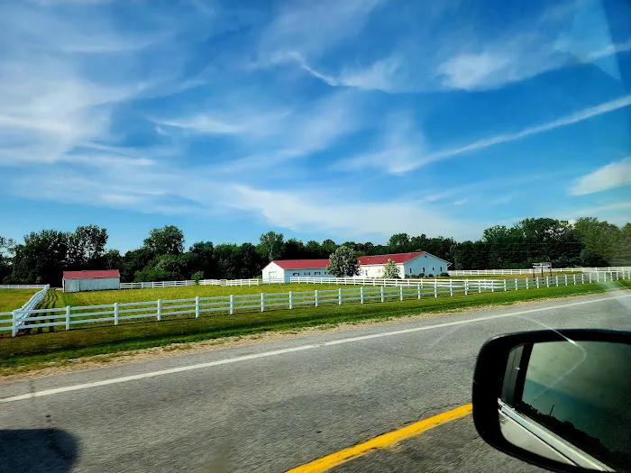 Town & Country Veterinary Hospital 7