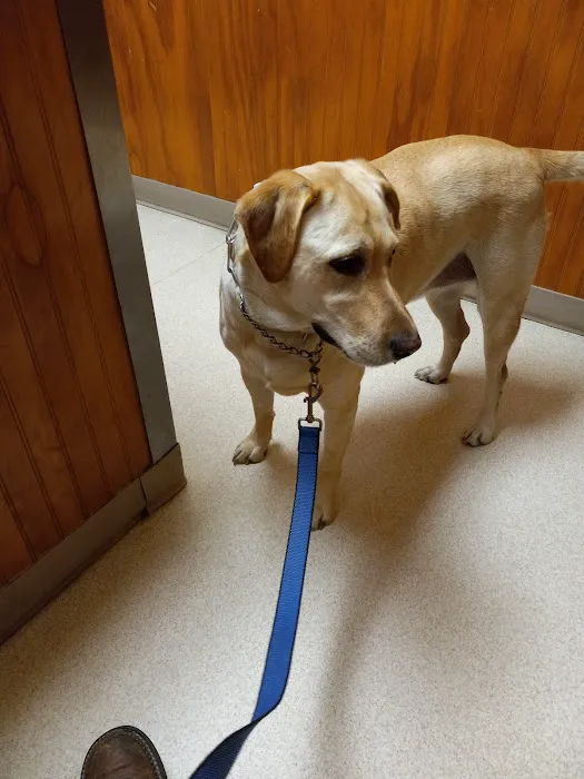 Allegan Veterinary Clinic 9