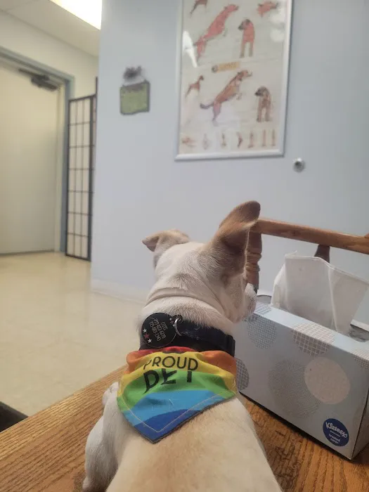 Allegan Animal Clinic 12