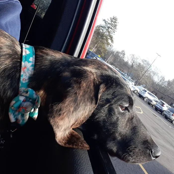 Allegan Animal Clinic 12