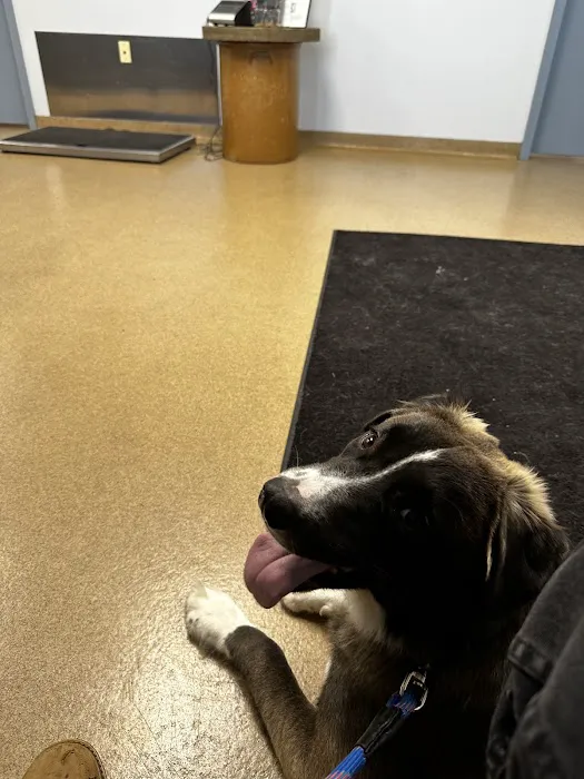 Allegan Animal Clinic 12