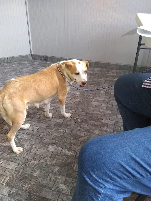 Kelley’s Animal Clinic 1