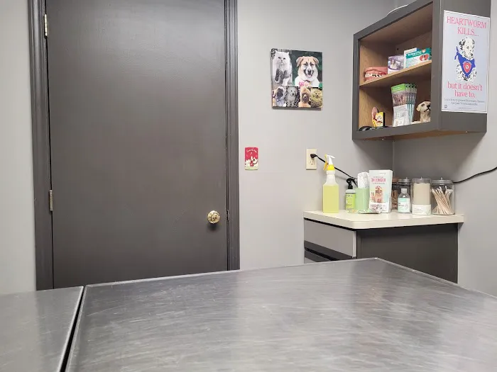 Kelley’s Animal Clinic 3