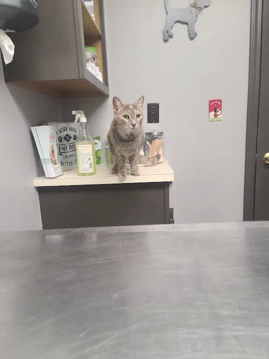 Kelley’s Animal Clinic 2