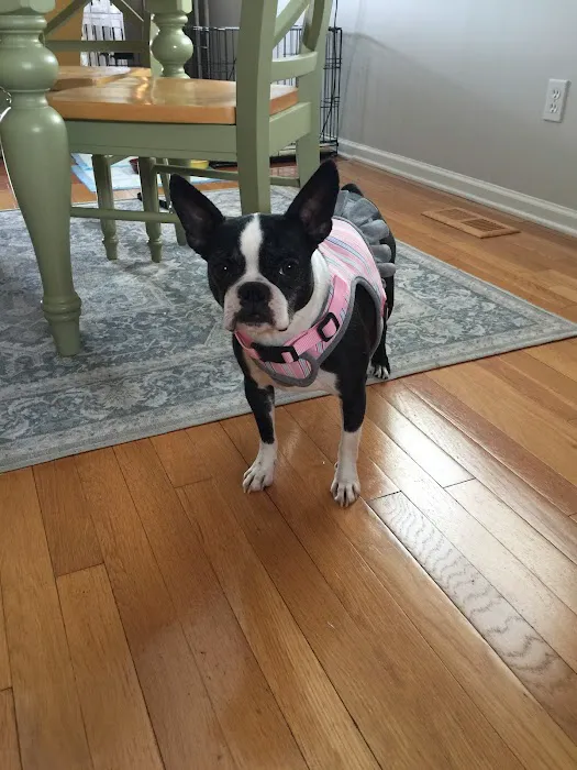 Kelley’s Animal Clinic 6