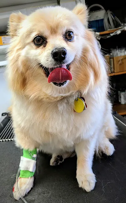 Schmitt's Animal Hospital 12