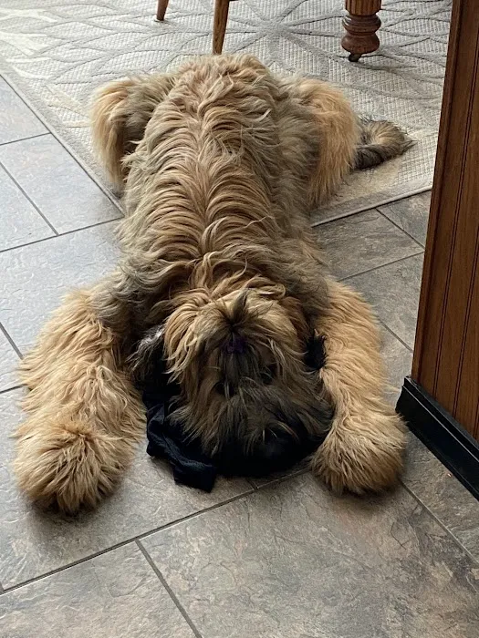 Schmitt's Animal Hospital 12