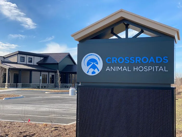 Crossroads Animal Hospital 1