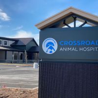 Crossroads Animal Hospital ico