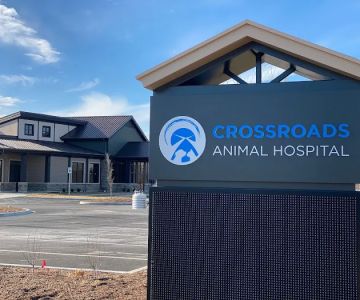 Crossroads Animal Hospital