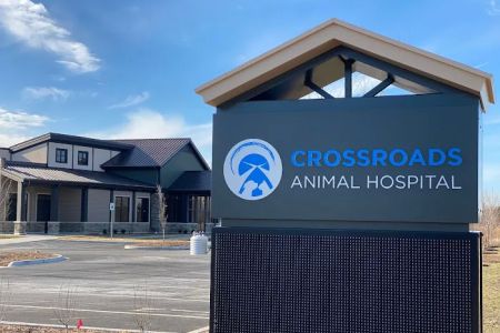 Crossroads Animal Hospital