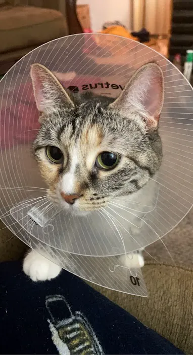 Crossroads Animal Hospital 7