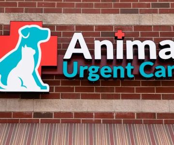 Animal Urgent Care