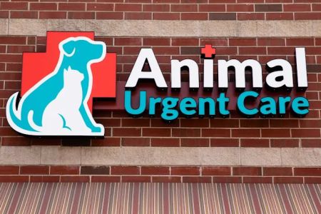 Animal Urgent Care