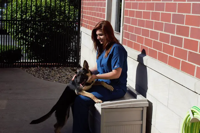 Munster Animal Hospital 12
