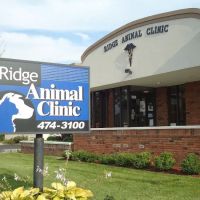 Ridge Animal Clinic ico
