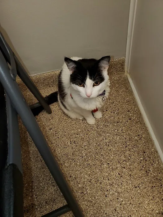 Ridge Animal Clinic 4