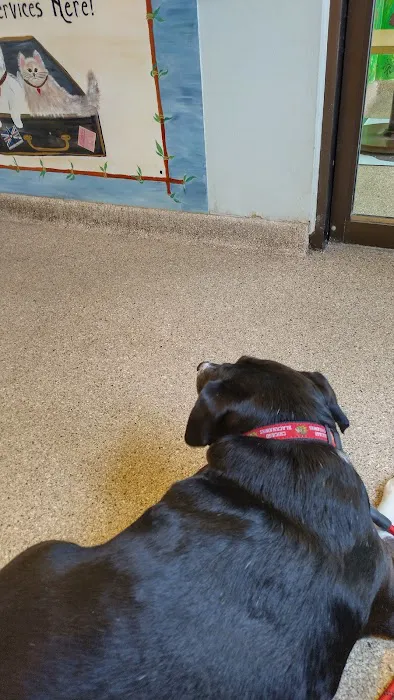 Ridge Animal Clinic 2