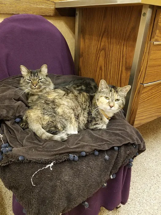 Ridge Animal Clinic 10