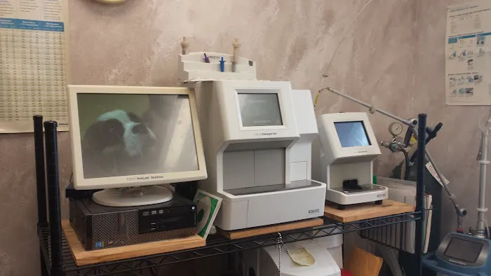 Ridge Animal Clinic 9