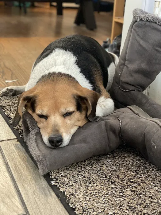 Hammond Pet Hospital 8