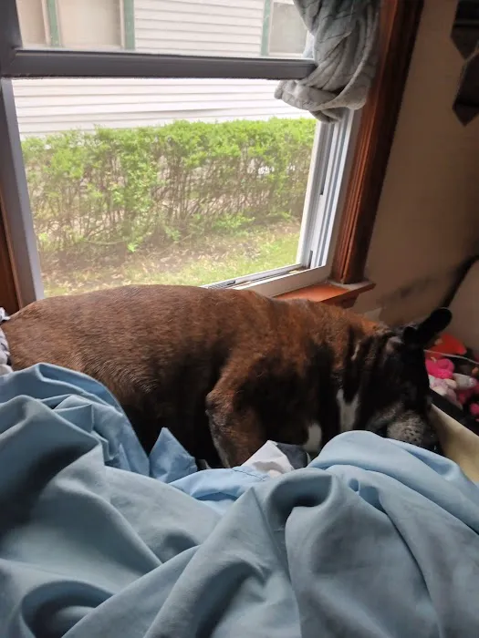 Hammond Pet Hospital 6
