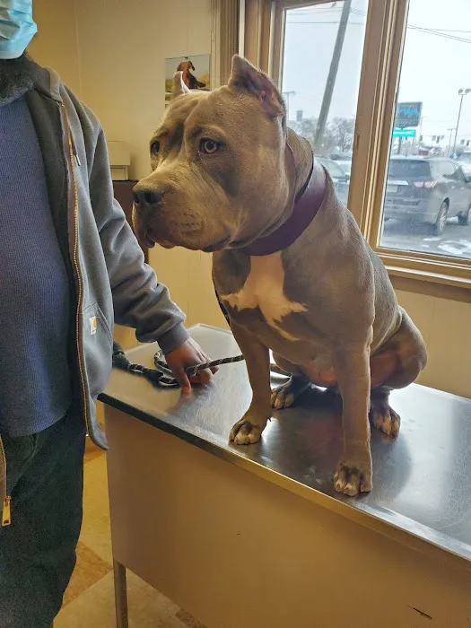 Highland Animal Hospital 12