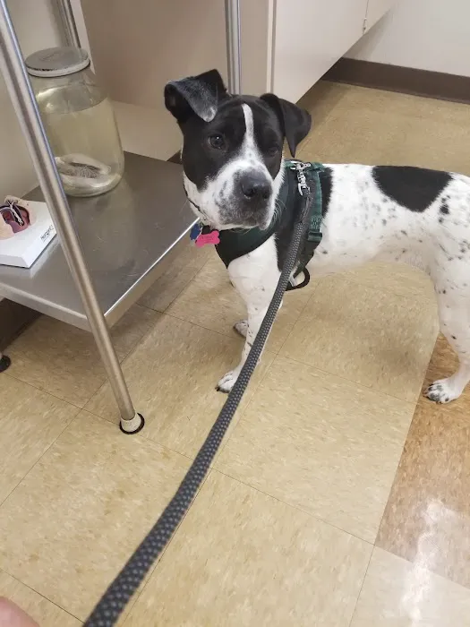 Highland Animal Hospital 12