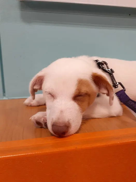 Banfield Pet Hospital 7