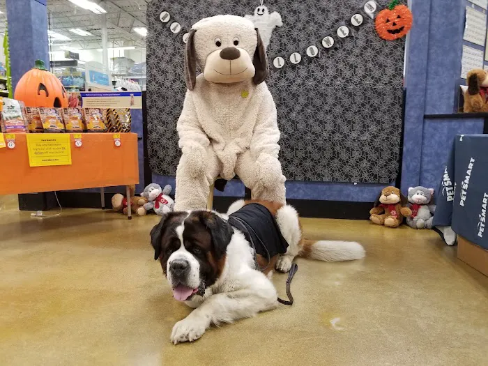 Banfield Pet Hospital 1