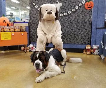 Banfield Pet Hospital