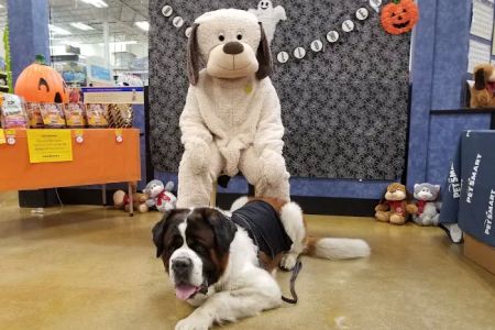 Banfield Pet Hospital