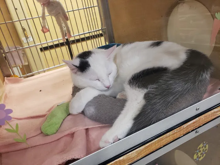 Banfield Pet Hospital 6