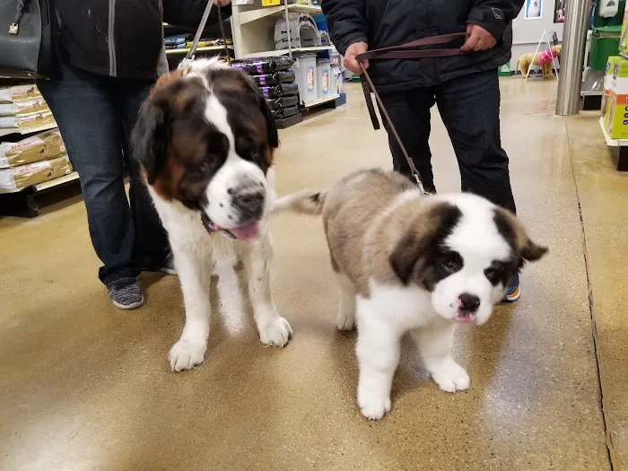 Banfield Pet Hospital 4