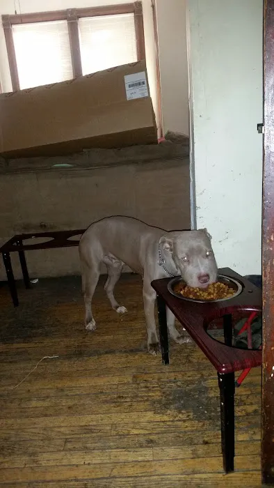 Animal Medical Center Of Sauk Village 1