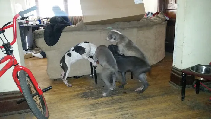 Animal Medical Center Of Sauk Village 3