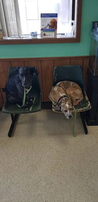Animal Medical Center Of Sauk Village 6