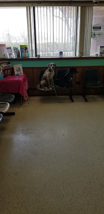 Animal Medical Center Of Sauk Village 5