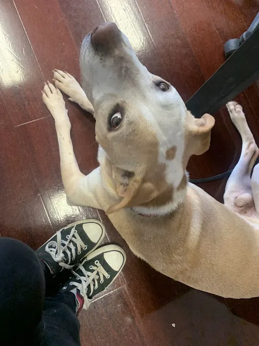 Animal Medical Center Of Sauk Village 9