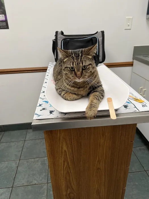 Deer Run Animal Hospital 12