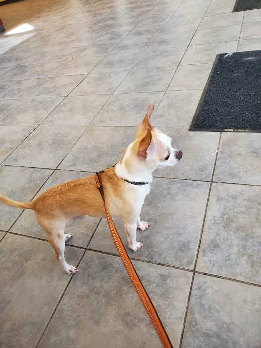Munster Animal Hospital: Foster Mike DVM 12