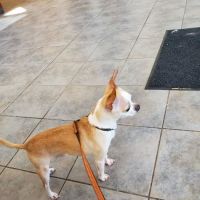 Munster Animal Hospital: Foster Mike DVM ico