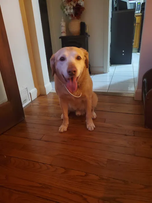 Sibley Animal Hospital 7