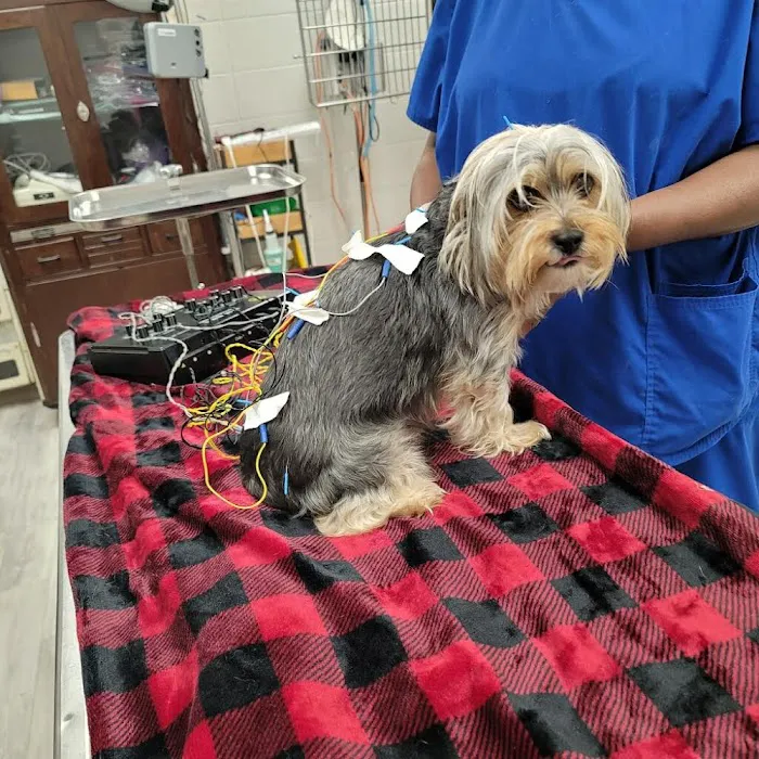 Sibley Animal Hospital 5