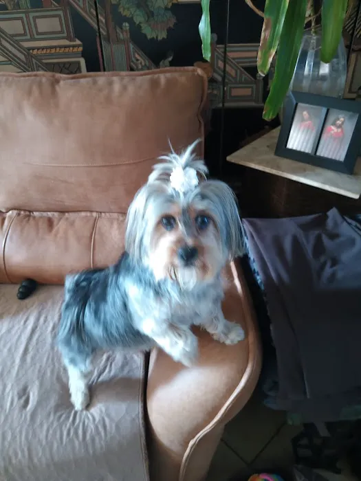 Sibley Animal Hospital 6