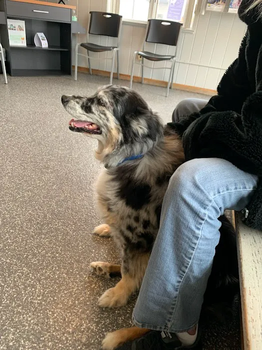 Lansing Animal Hospital 3